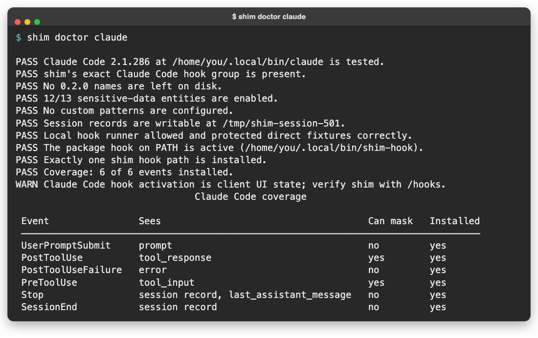 shim doctor terminal diagnostics verifying hook installation across client environments